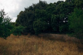  Fabian Hönig – Photographer