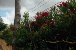  Fabian Hönig – Photographer