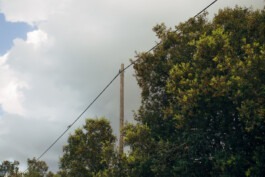  Fabian Hönig – Photographer