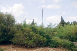  Fabian Hönig – Photographer