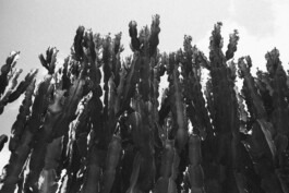  Fabian Hönig – Photographer