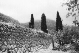  Fabian Hönig – Photographer