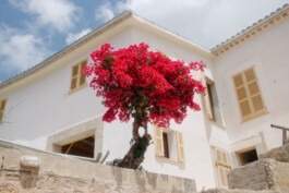  Fabian Hönig – Photographer